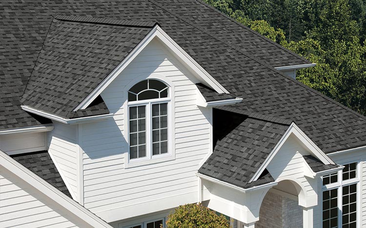 Roofing Team at Work
